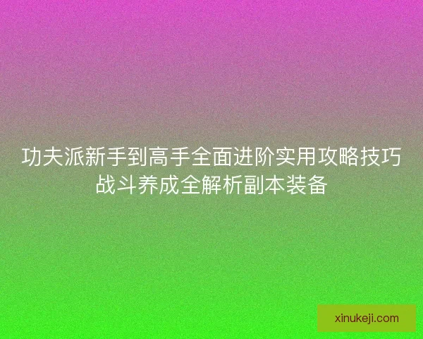 功夫派新手到高手全面进阶实用攻略技巧战斗养成全解析副本装备