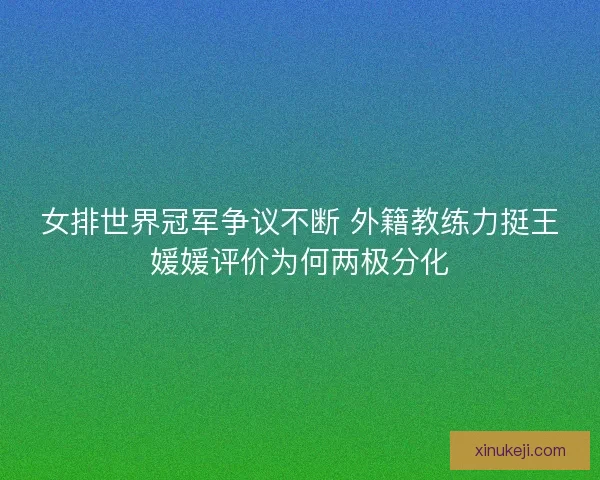 女排世界冠军争议不断 外籍教练力挺王媛媛评价为何两极分化 女排世界冠军争议不断 外籍教练力挺王媛媛评价为何两极分化